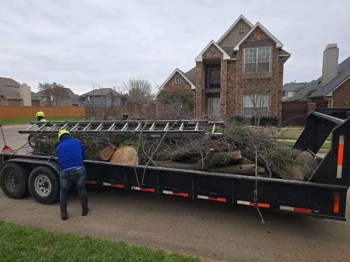 Expert Tree Fertilization with proper safety equipment in Pleasant Mills